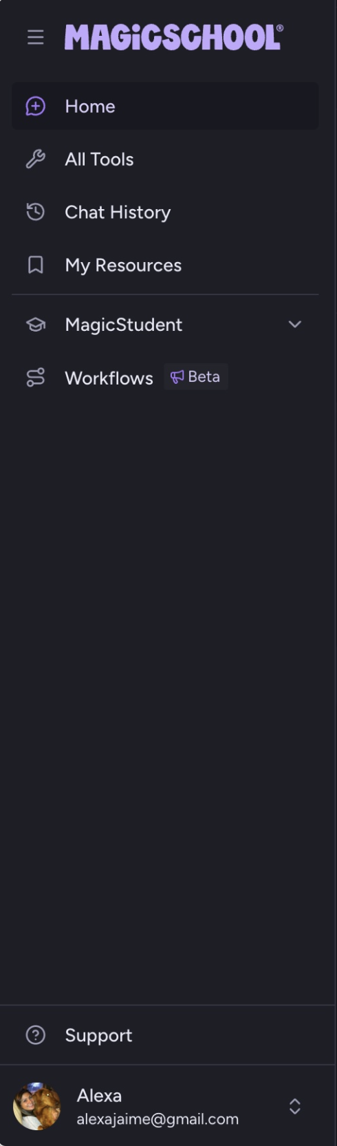 The new sidebar: Home, All Tools, Chat History, My Resources, MagicStudent, and Workflows, with Support and the teacher's profile at the bottom.